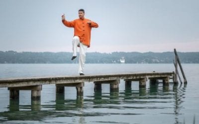 Tai Chi Qigong Workshop—Centreville Chantilly South Riding VA Area, Saturdays, Dec 9 and 16 2017