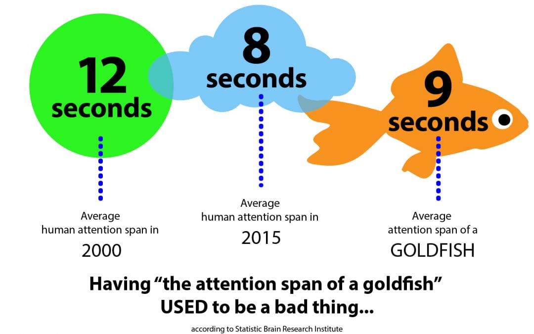 What do a Monkey and a Goldfish Have in Common?