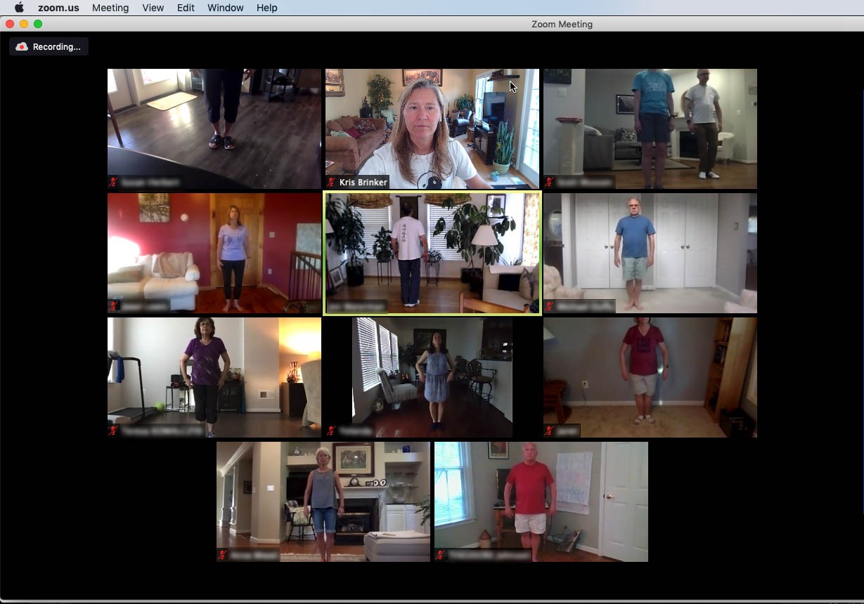 Class Zoom Grid 1 Tai Chi classes online video on-demand. Tai Chi near anywhere.