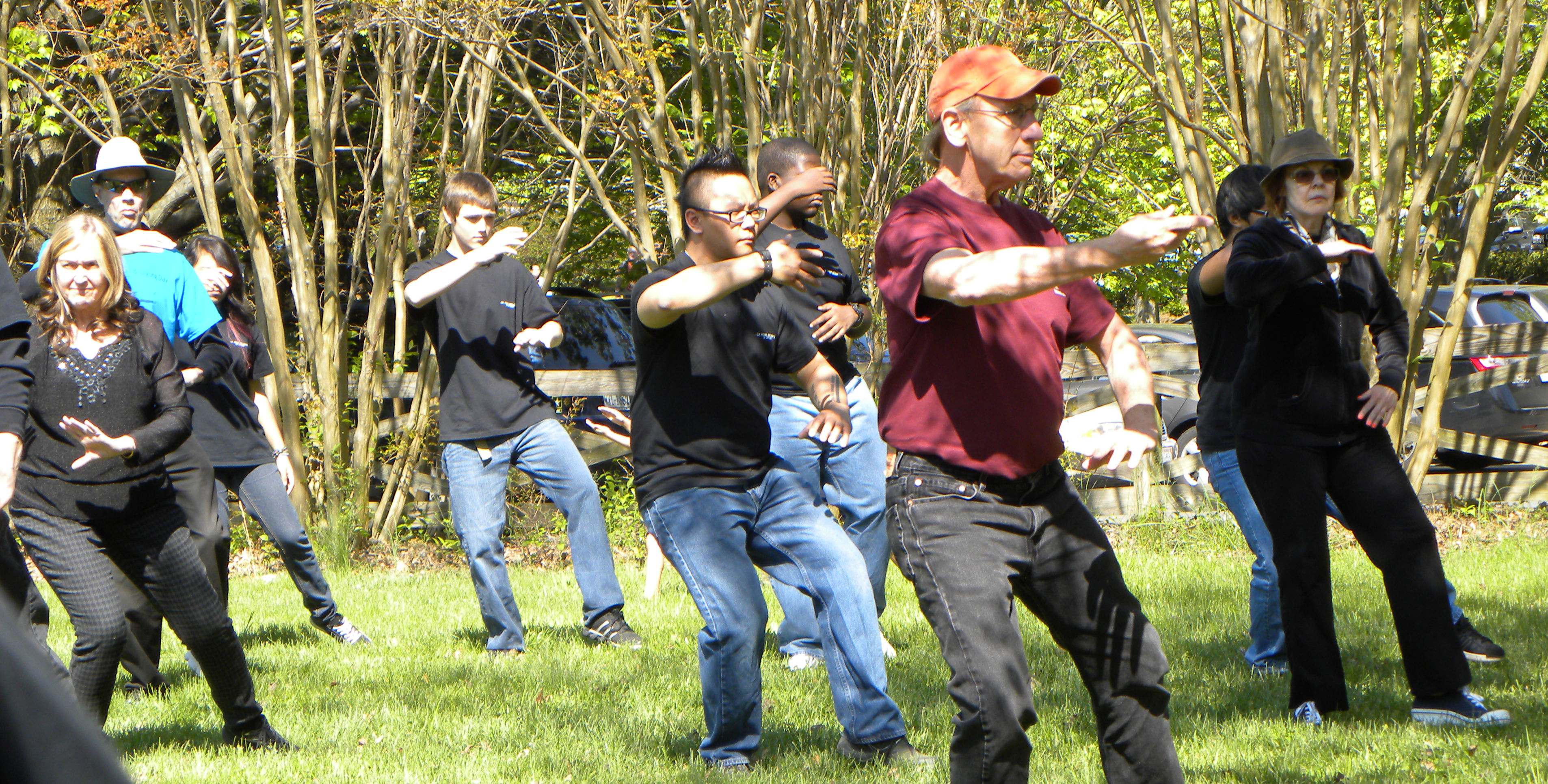 Tai Chi Classes Online and in-person