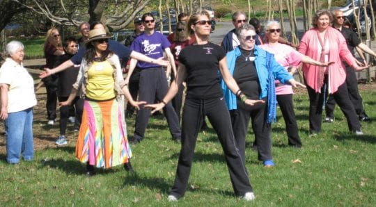 Tai Chi Fairfax County World Tai Chi Day