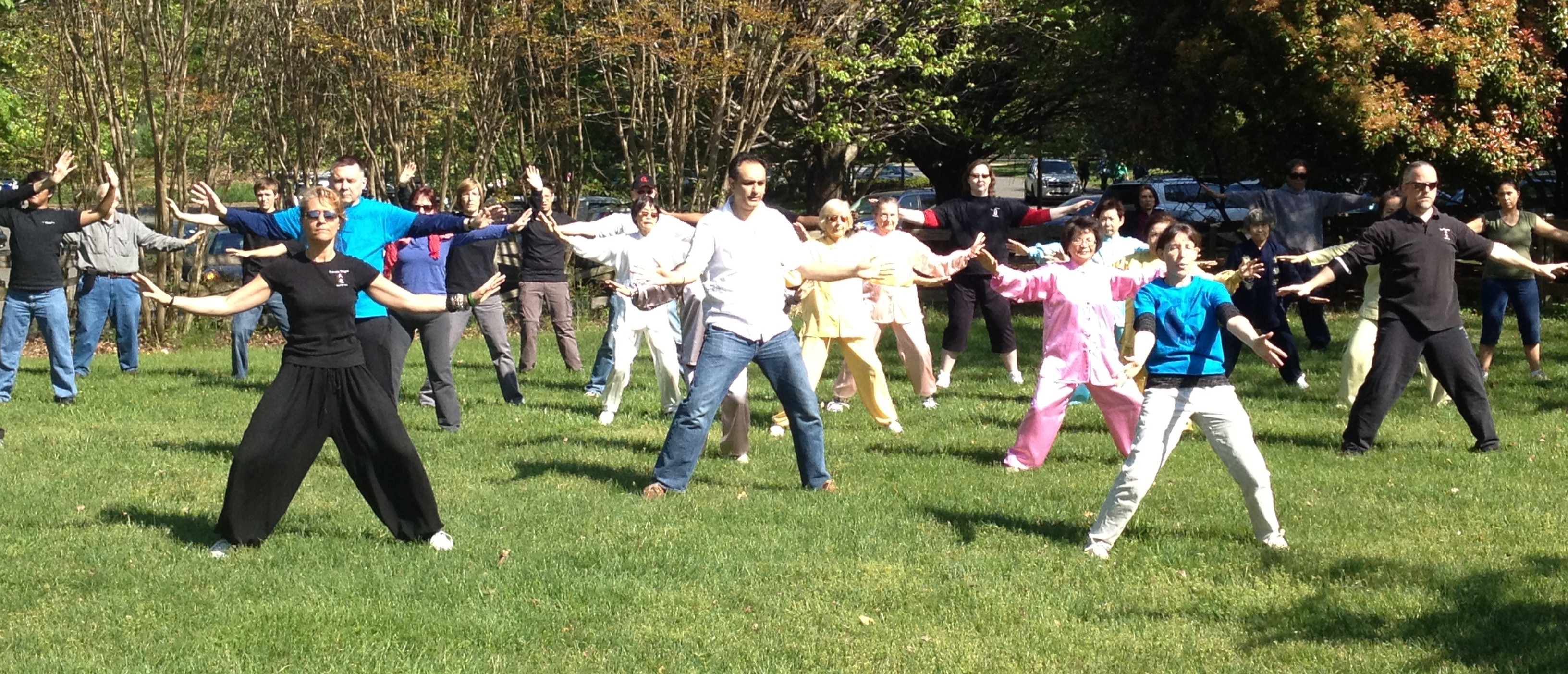 Tai Chi and Qigong Classes Online and in-person
