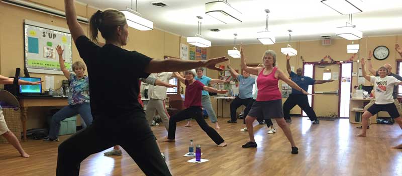 Tai Chi Shen Gong Online Qigong Classes