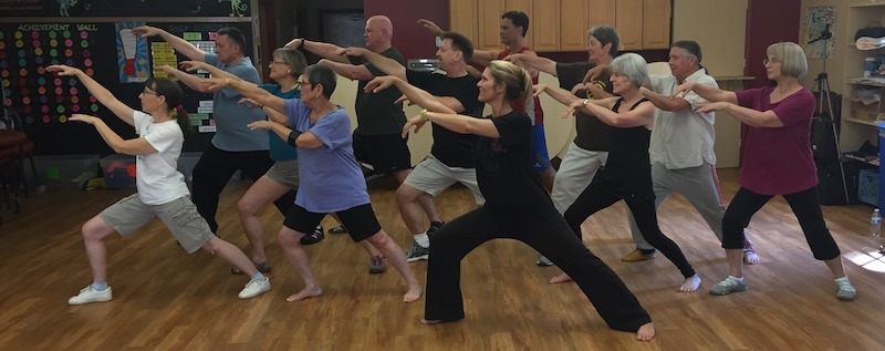 TCSG Side View Tai Chi Shen Gong Qigong classes for health