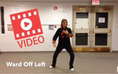 Tai Chi Cheng Man Ching First Third Demo Front View