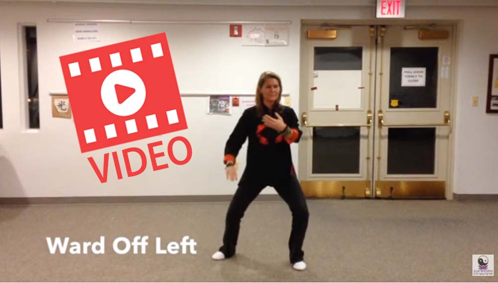 Video Image for Blog-Tai Chi Short Form Video Online Tai Chi Video Demo-Front