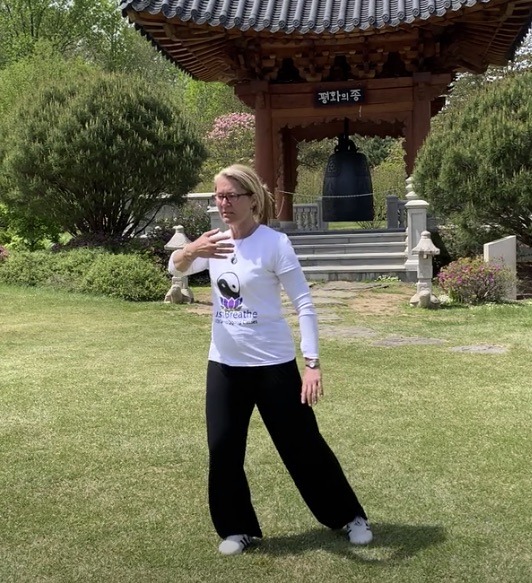 Tai Chi demonstration at World Tai Chi Day Fairfax Virginia World Tai Chi and Qigong Day Fairfax Virginia Tai Chi classes and Qigong lessons