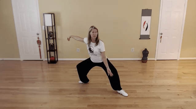 Online On-Demand Video Tai Chi Classes taught step-by-step. Tai Chi is known to Increase balance, relieve stress and anxiety, boost your immune system, prevent and reverse health conditions related to aging! A great practice for fall prevention, arthritis, and Parkinson’s.