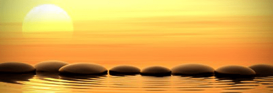 Tai Chi Classes Section 1Burke Fairfax Springfield VA Area Mon, Jan 9-Apr 17, 2017